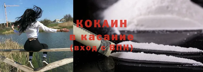 что такое   Кимры  мориарти какой сайт  Cocaine Fish Scale 